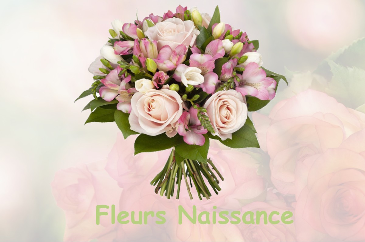 fleurs naissance SAINT-MARC-A-FRONGIER